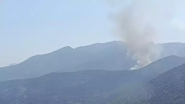 Muğla Orman Yangını 3