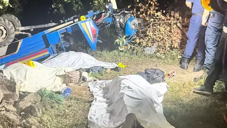 Ordu Patpat Kazasi 33