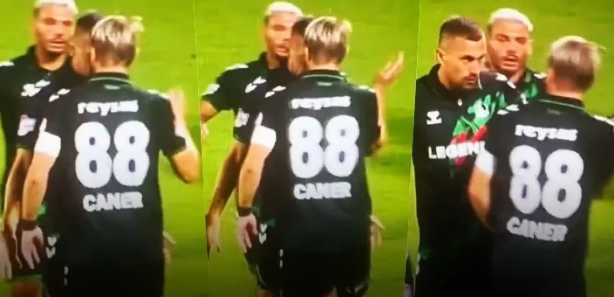 Caner 6